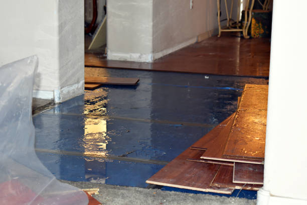 Professional Basement Water Removal technician working in Stonington, ME